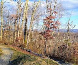 Image of Tannery Knobs Mountain Bike Park park in Johnson City, Tennessee, United States Image of Tannery Knobs Mountain Bike Park park in johnson-city, tennessee, united-states