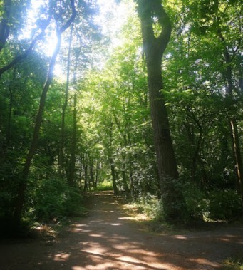 Image of Hoekse Bosjes park in Hoek van Holland, Zuid-Holland, Netherlands Image of Hoekse Bosjes park in hoek-van-holland, zuid-holland, netherlands