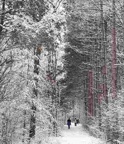 Image of Scuppernong Trailhead park in Dousman, Wisconsin, United States Image of Scuppernong Trailhead park in dousman, wisconsin, united-states