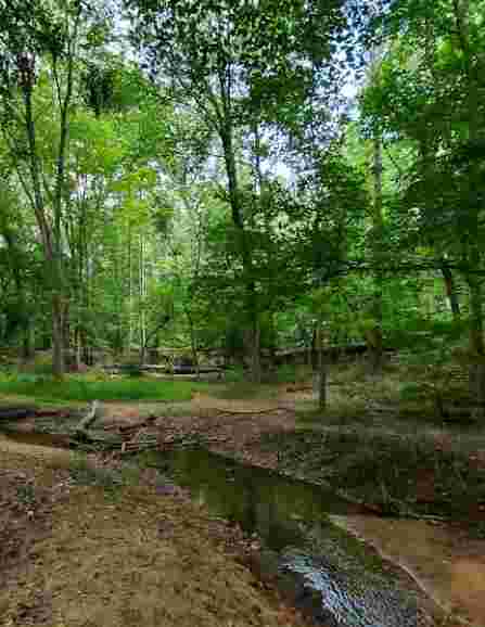 Image of Saddler's Woods Conservation Association park in Haddon Township, New Jersey, United States Image of Saddler's Woods Conservation Association park in haddon-township, new-jersey, united-states