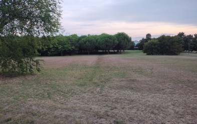Image of Valle Preistorica o Piccola Valle Preistorica park in Bellaria-Igea Marina, Emilia-Romagna, Italy Image of Valle Preistorica o Piccola Valle Preistorica park in bellaria-igea-marina, emilia-romagna, italy