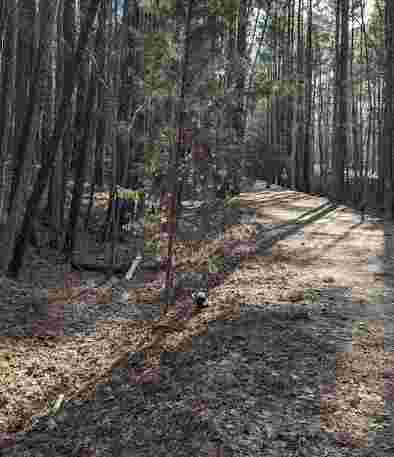Image of American Tobacco Trail - New Hope Church Road Parking Area park in Cary, Illinois, United States Image of American Tobacco Trail - New Hope Church Road Parking Area park in cary, illinois, united-states