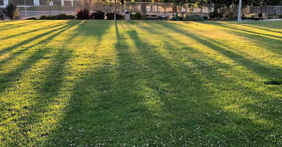 Image of Swegles Park park in Sunnyvale, California, United States Image of Swegles Park park in sunnyvale, california, united-states