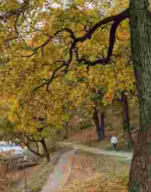 Image of Bellevueparken park in Stockholm, Stockholm, Sweden Image of Bellevueparken park in stockholm, stockholm, sweden