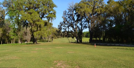 Image of Apalachee Regional Park park in Tallahassee, Florida, United States Image of Apalachee Regional Park park in tallahassee, florida, united-states