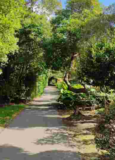 Image of Hokowhitu River Walk park in Palmerston North, Manawatu-Wanganui, New Zealand Image of Hokowhitu River Walk park in palmerston-north, manawatu-wanganui, new-zealand