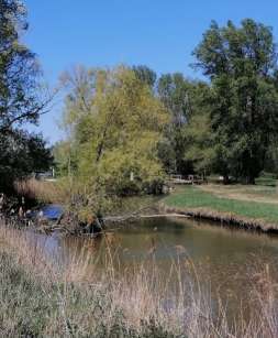 Image of Étang de la Capelle park in La Capelle-et-Masmolène, Occitanie, France Image of Étang de la Capelle park in la-capelle-et-masmolene, occitanie, france
