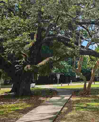 Image of Coral Gables Wayside Park park in Miami, Florida, United States Image of Coral Gables Wayside Park park in miami, florida, united-states