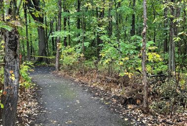 Image of Parma Town Park park in Hilton, New York, United States Image of Parma Town Park park in hilton, new-york, united-states