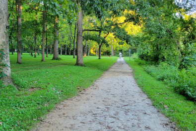 Image of Songbird Trail park in Rocky Top, Tennessee, United States Image of Songbird Trail park in rocky-top, tennessee, united-states