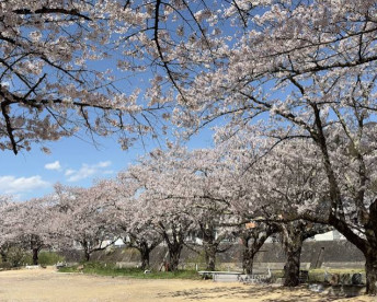 Image of 宮川緑地公園 (西園) park in Takayama, Gifu, Japan Image of 宮川緑地公園 (西園) park in takayama, gifu, japan