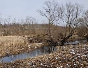 Image of Thomas Creek Wetland Walk park in Fairport, New York, United States Image of Thomas Creek Wetland Walk park in fairport, new-york, united-states