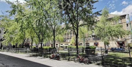 Image of Dog Park park in Budapest, Budapest, Hungary Image of Dog Park park in budapest, budapest, hungary