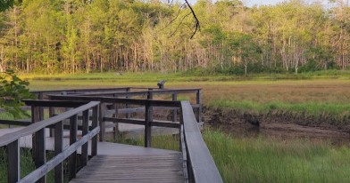 Image of Rachel Carson National Wildlife Refuge park in Wells, Michigan, United States Image of Rachel Carson National Wildlife Refuge park in wells, michigan, united-states