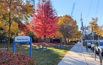 Image of McCaul-Orde Park park in Toronto, Ontario, Canada Image of McCaul-Orde Park park in toronto, ontario, canada