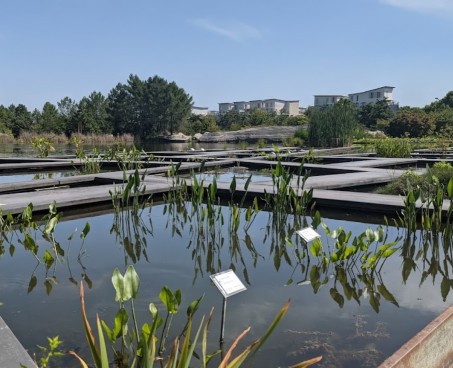 Image of Parc aux Angéliques park in Bordeaux, Gironde, France Image of Parc aux Angéliques park in bordeaux, gironde, france