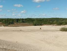 Image of West Greenwich Sand Dunes park in West Greenwich, Rhode Island, United States Image of West Greenwich Sand Dunes park in west-greenwich, rhode-island, united-states