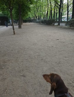 Image of Area cani, Parco del Valentino park in turin, torino, italy