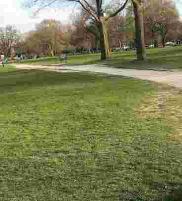 Image of Dawes Park park in Evanston, Illinois, United States Image of Dawes Park park in evanston, illinois, united-states