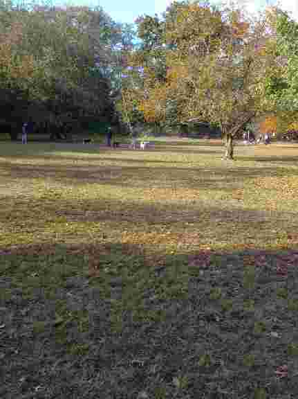 Image of Dog Park park in New Rochelle, New York, United States Image of Dog Park park in new-rochelle, new-york, united-states