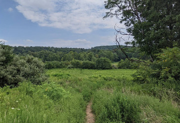 Image of Pawling Farm park in King of Prussia, Pennsylvania, United States Image of Pawling Farm park in king-of-prussia, pennsylvania, united-states