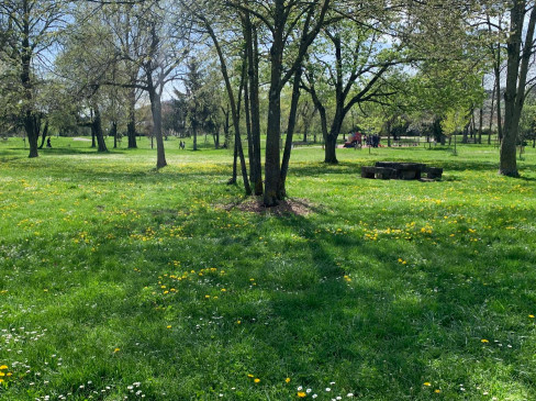 Image of Parc des Lilattes park in Bourgoin-Jallieu, Isere, France Image of Parc des Lilattes park in bourgoin-jallieu, isere, france