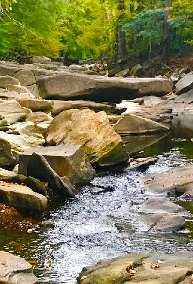 Image of Holmes Run Trailhead park in Bailey's Crossroads, Virginia, United States Image of Holmes Run Trailhead park in baileys-crossroads, virginia, united-states
