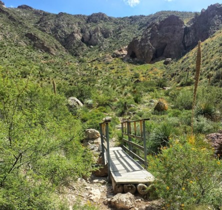 Image of Franklin Mountains State Park park in El Paso, Texas, United States Image of Franklin Mountains State Park park in el-paso, texas, united-states