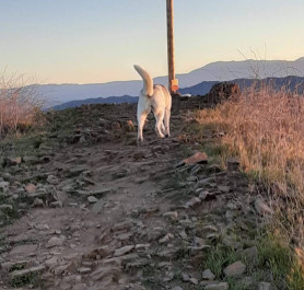 Image of Cross Hike Menifee park in Menifee, California, United States Image of Cross Hike Menifee park in menifee, california, united-states