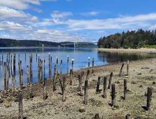 Image of Titlow Beach park in Tacoma, Washington, United States Image of Titlow Beach park in tacoma, washington, united-states