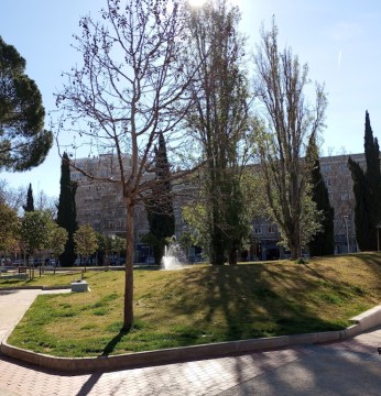 Image of Parque Manuel Azaña park in Alcala de Henares, Madrid, Spain Image of Parque Manuel Azaña park in alcala-de-henares, madrid, spain