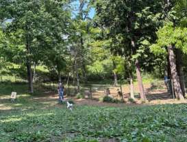 Image of 南広場 ドッグラン park in Machida, Tokyo, Japan Image of 南広場 ドッグラン park in machida, tokyo, japan