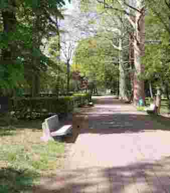 Image of Parco Cabassina park in Corsico, Lombardia, Italy Image of Parco Cabassina park in corsico, lombardia, italy