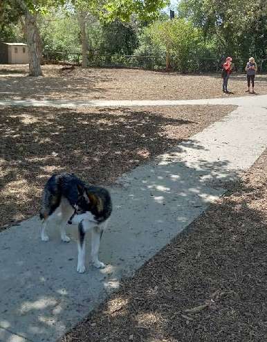 Image of El Chorro Dog Park park in San Luis Obispo, California, United States Image of El Chorro Dog Park park in san-luis-obispo, california, united-states