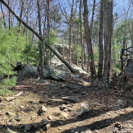 Image of Wolf Hill Forest Preserve park in Smithfield, Rhode Island, United States Image of Wolf Hill Forest Preserve park in smithfield, rhode-island, united-states
