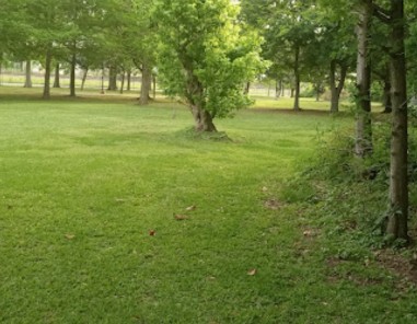 Image of La Salle Park park in Metairie, Louisiana, United States Image of La Salle Park park in metairie, louisiana, united-states