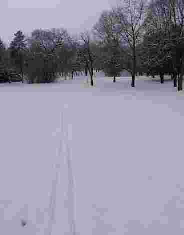 Image of St. Olaf Natural Lands park in Northfield, Illinois, United States Image of St. Olaf Natural Lands park in northfield, illinois, united-states
