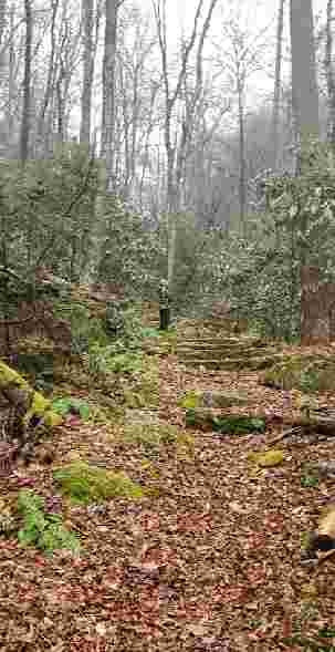 Image of Roaring Branch Trail park in Big Stone Gap, Virginia, United States Image of Roaring Branch Trail park in big-stone-gap, virginia, united-states