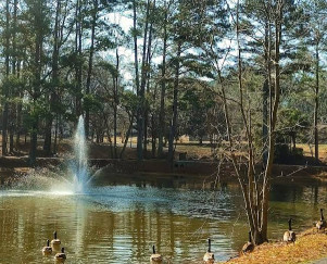 Image of Summergate Park park in Decatur, Alabama, United States Image of Summergate Park park in decatur, alabama, united-states