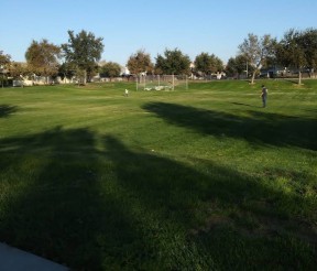 Image of Aprigold Park park in Patterson, California, United States Image of Aprigold Park park in patterson, california, united-states