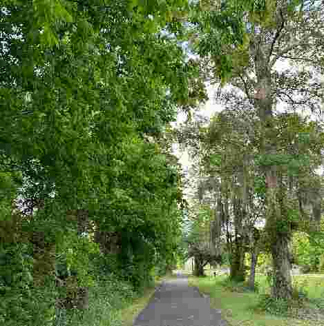 Image of Sawmill Branch Trail - Ashley Dr. Trail entrance park in Summerville, South Carolina, United States Image of Sawmill Branch Trail - Ashley Dr. Trail entrance park in summerville, south-carolina, united-states