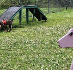 Image of Chattanooga Chew Chew Canine Park park in Chattanooga, Tennessee, United States Image of Chattanooga Chew Chew Canine Park park in Chattanooga, Tennessee, United States