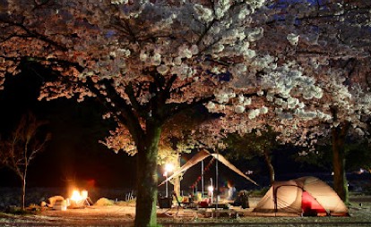 Image of 青野原オートキャンプ場 park in Sagamihara, Kanagawa, Japan Image of 青野原オートキャンプ場 park in sagamihara, kanagawa, japan