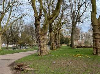 Image of Kennington Park park in London, England, United Kingdom Image of Kennington Park park in london, england, united-kingdom
