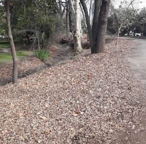 Image of West Main Park park in Visalia, California, United States Image of West Main Park park in visalia, california, united-states