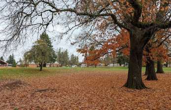 Image of Ventura Park park in Portland, Connecticut, United States Image of Ventura Park park in portland, connecticut, united-states