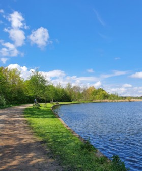 Image of Brobæk Mose park in Jægersborg, Capital Region of Denmark, Denmark Image of Brobæk Mose park in jaegersborg, capital-region-of-denmark, denmark