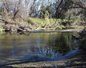 Image of Trancas Crossing Park park in Napa, California, United States Image of Trancas Crossing Park park in napa, california, united-states