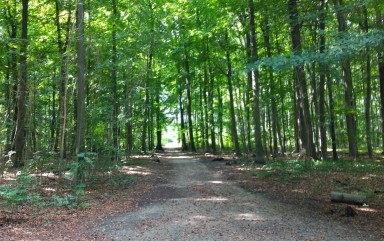 Image of Naturschutzgebiet Dorneywald park in Dortmund, Nordrhein-Westfalen, Germany Image of Naturschutzgebiet Dorneywald park in dortmund, nordrhein-westfalen, germany