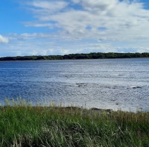 Image of Horsens Fjord, Hectors Lanse park in Hedensted, Vejle, Denmark Image of Horsens Fjord, Hectors Lanse park in hedensted, vejle, denmark